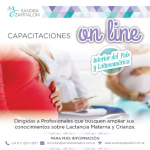 Capacitación Profesional Online